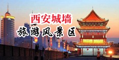日本鸡巴视频中国陕西-西安城墙旅游风景区