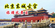 狂插美女小穴视频中国北京-东城古宫旅游风景区